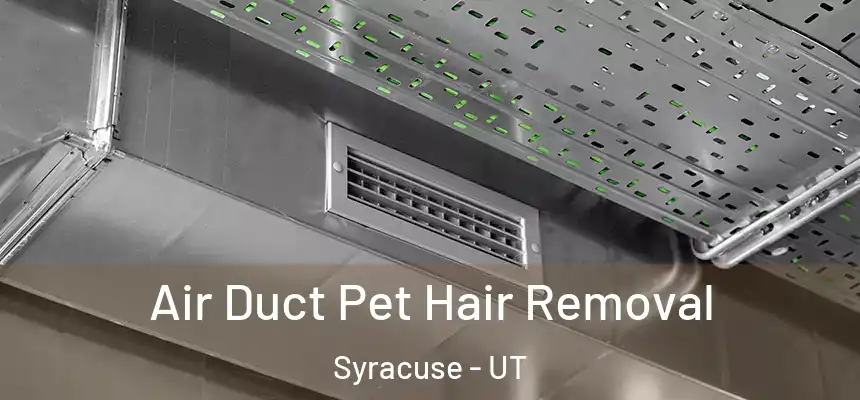 Air Duct Pet Hair Removal Syracuse - UT