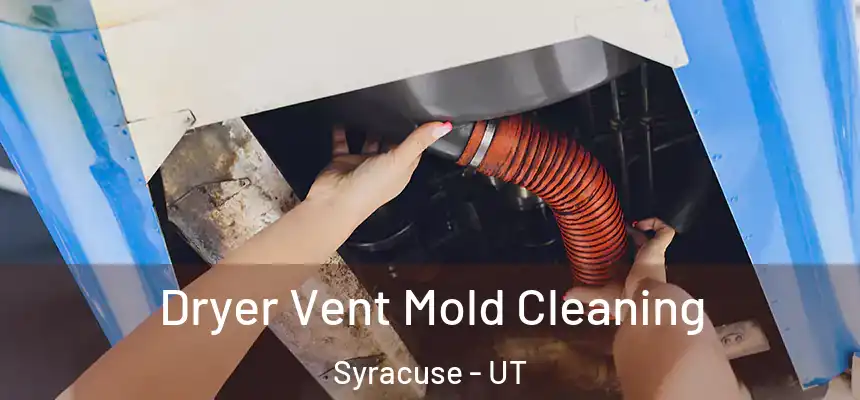 Dryer Vent Mold Cleaning Syracuse - UT