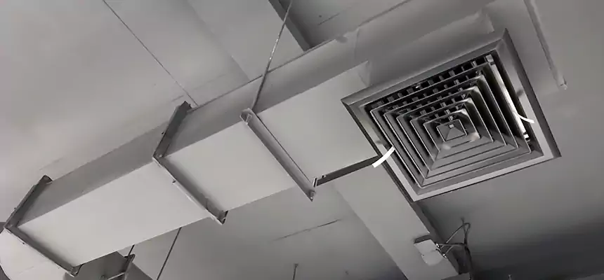 Our Pest Removal From Ducts Services in Syracuse, UT