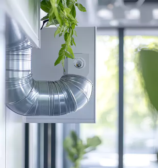 Professional Eco-Safe Dryer Vent Cleaning in Syracuse, UT