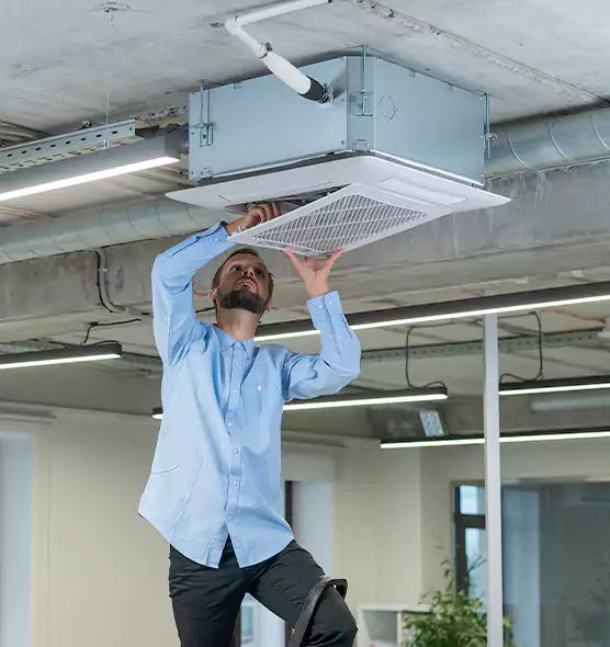 Advanced Rodent Droppings In Vents in Syracuse, UT