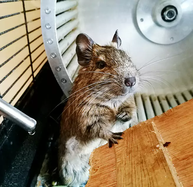 Why Homeowners & Businesses Trust Us Syracuse, UT